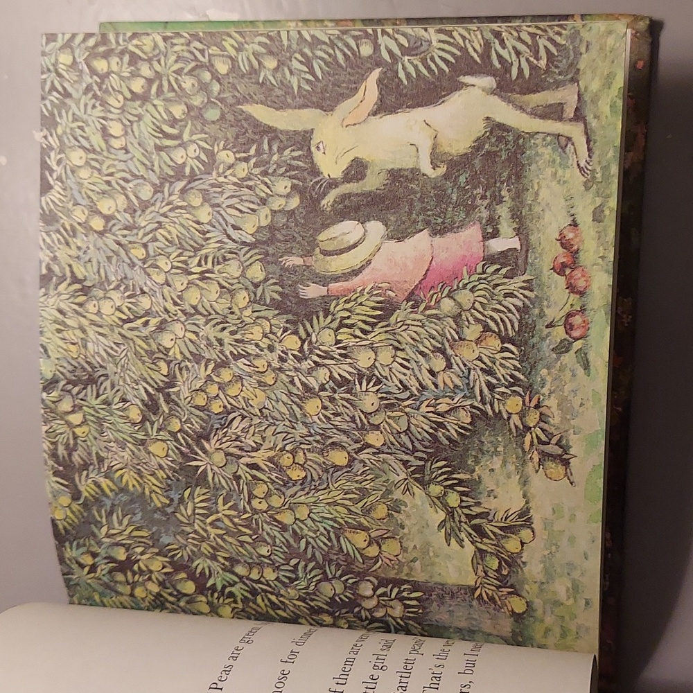 ❤️ Mr. Rabbit And The Lovely Present - Picture 12 of 16